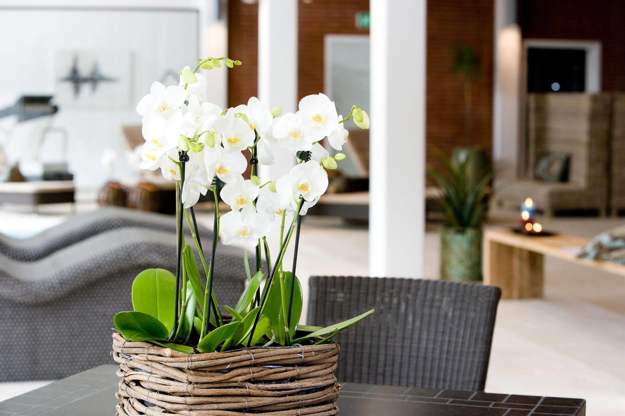Hotel Hesselet Nyborg Zewnętrze zdjęcie